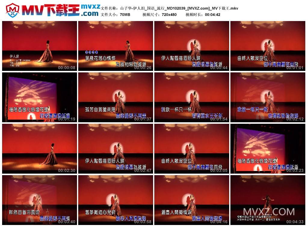 山子华-伊人泪_国语_流行_MD102039